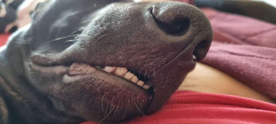 Her mit dem Grimassen-Beitrag-Bild