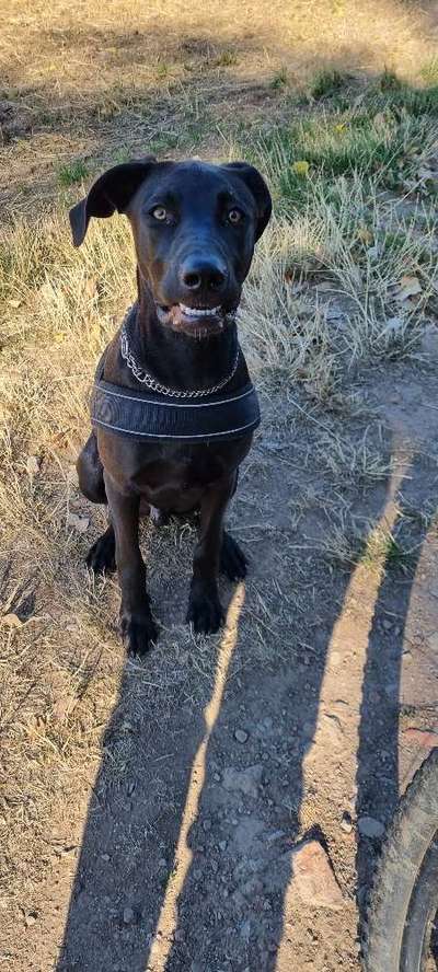 Her mit dem Grimassen-Beitrag-Bild