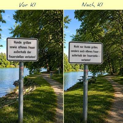 Hunde Memes-Beitrag-Bild