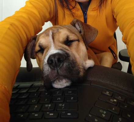 Freddys Kummerkasten-Beitrag-Bild