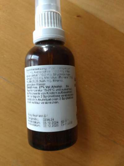 Vor der Läufigkeit spielt meine Hündin verrückt.-Beitrag-Bild