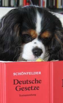 Freddys Kummerkasten-Beitrag-Bild