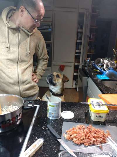 Freddys Kummerkasten-Beitrag-Bild