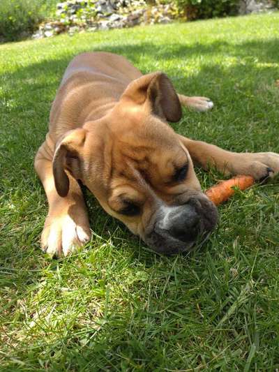 Freddys Kummerkasten-Beitrag-Bild