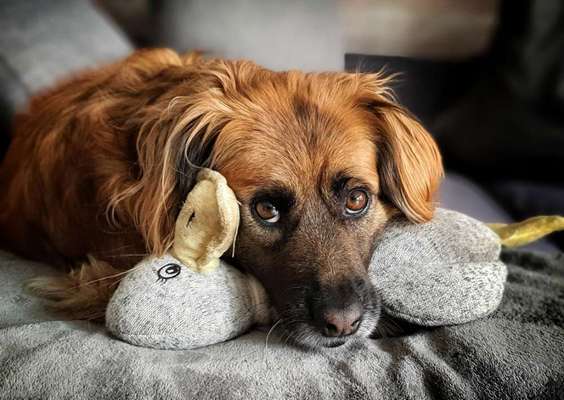 150. Foto Challaenge:  Die Augen, der Spiegel der Seele-Beitrag-Bild