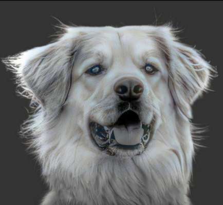 150. Foto Challaenge:  Die Augen, der Spiegel der Seele-Beitrag-Bild