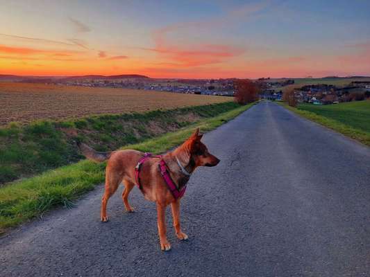 18. Farben Fotochallenge: Sonnenuntergang-Beitrag-Bild