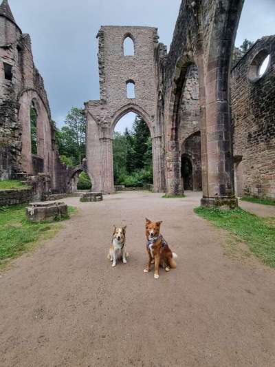 151. Photo Challenge: Sehenswürdigkeiten-Beitrag-Bild