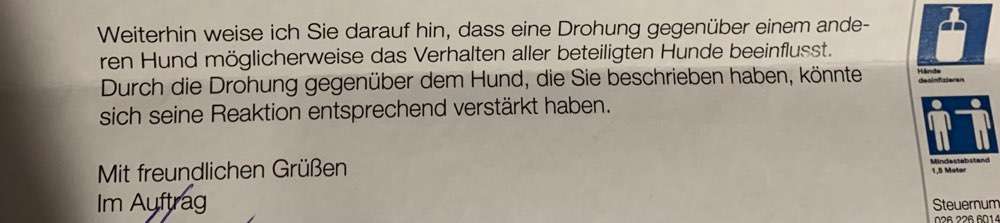 Unangeleinte Hunde-Beitrag-Bild