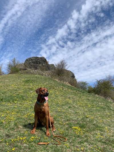 Fotowettbewerb Natur-Beitrag-Bild