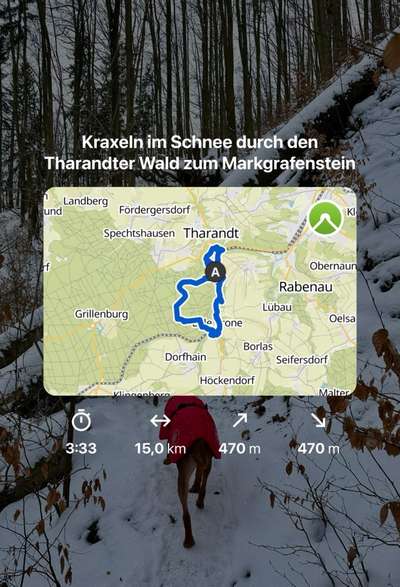 Hundetreffen-Wandern im Dresdener Umland und Elbsandsteingebirge-Bild