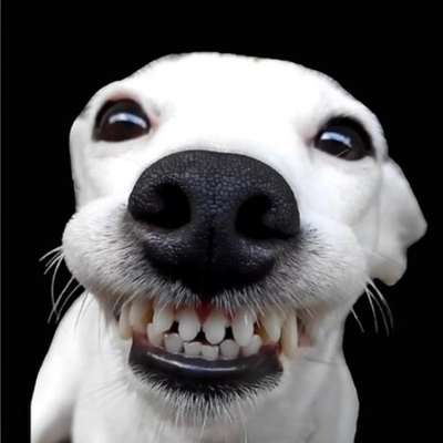 Unangemessenes/absurdes Verhalten von Fremden-Beitrag-Bild