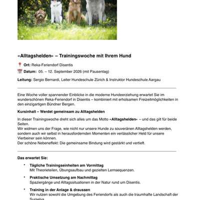 %{de_profession_title}-Ferien mit Hund?!-Bild