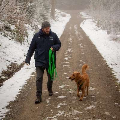Giftköder-Privatcoaching / Einzeltraining-Bild
