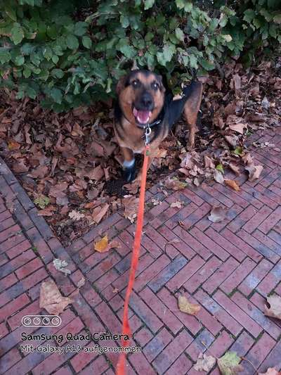 Herbst Bilder-Beitrag-Bild