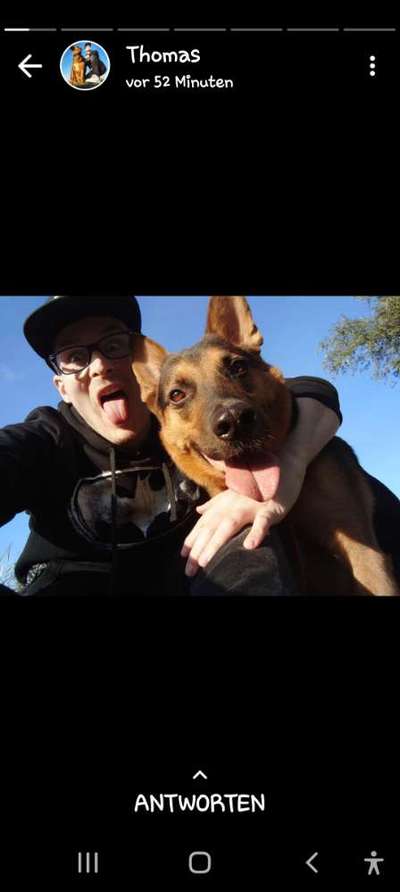 Fotosammlung: ,,Der natürliche Hund" Unbearbeitet, ungestellt und in Natura-Beitrag-Bild