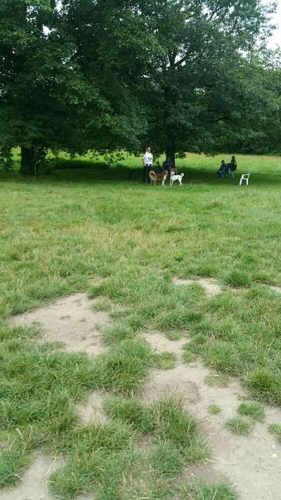 Hundetreffen-Treffen an der Hundewiese in Kamp-Lintfort am Pappelsee-Bild