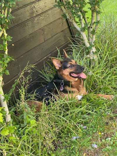 147. Foto Challenge: Bettelblick-Beitrag-Bild