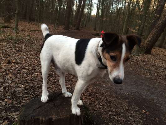 Cuching- Syndrom-Beitrag-Bild