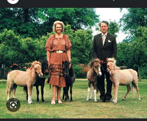 Fragen zum Beutetier-Prinzip - und was haltet ihr davon?-Beitrag-Bild