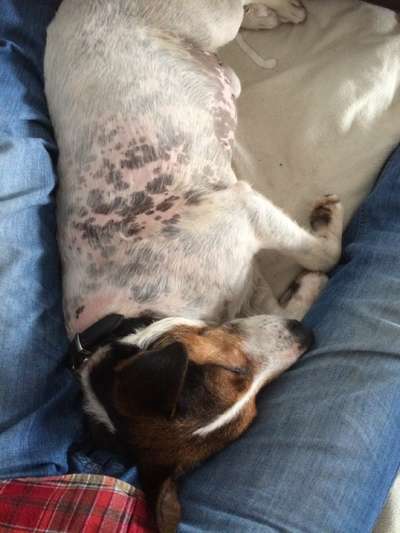 Cuching- Syndrom-Beitrag-Bild