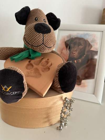 Urne von verstorbenen Haustieren !-Beitrag-Bild