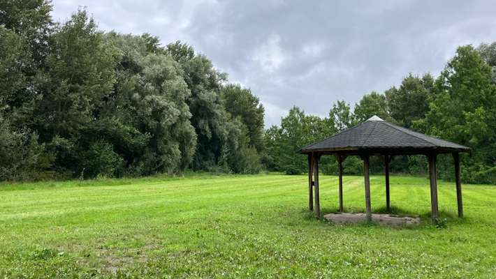 Hundeauslaufgebiet-Bürgerpark-Bild