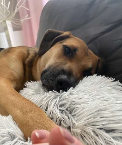 Zeigt eure Portraits-Beitrag-Bild