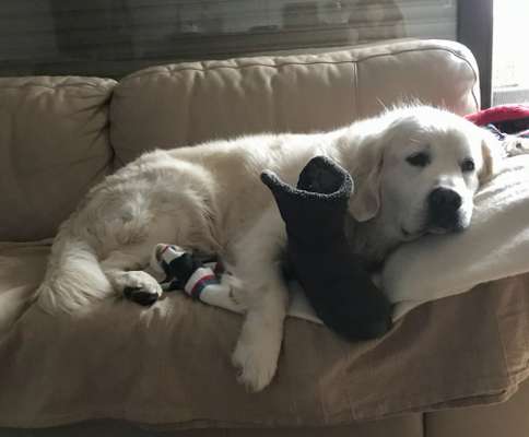 Fotochallange Nr. 57     PORTRÄT.   Beendet!!!!!!!!-Beitrag-Bild