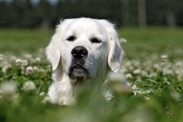 Fotochallange Nr. 57     PORTRÄT.   Beendet!!!!!!!!-Beitrag-Bild