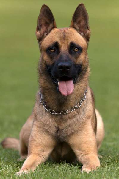 Fotochallange Nr. 57     PORTRÄT.   Beendet!!!!!!!!-Beitrag-Bild