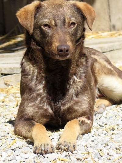 Lieblingsbild :D-Beitrag-Bild