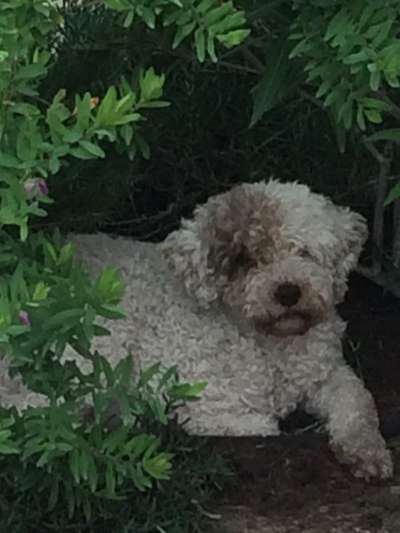 Fotochallenge Nr. 67: Euer Lieblingsbild-Beitrag-Bild