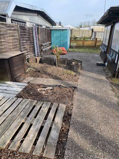 Windhunde - Treffen der besonderen Schönheiten
HERZLICH WILLKOMMEN-Beitrag-Bild