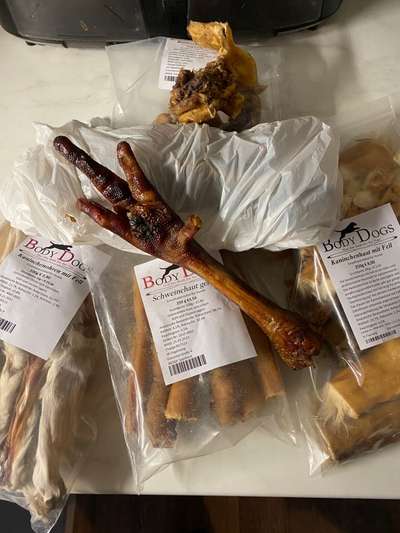 Windhunde - Treffen der besonderen Schönheiten
HERZLICH WILLKOMMEN-Beitrag-Bild