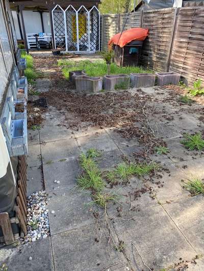 Windhunde - Treffen der besonderen Schönheiten
HERZLICH WILLKOMMEN-Beitrag-Bild