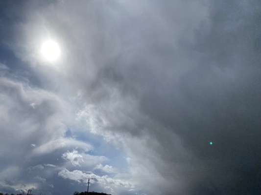 Windhunde - Treffen der besonderen Schönheiten
HERZLICH WILLKOMMEN-Beitrag-Bild