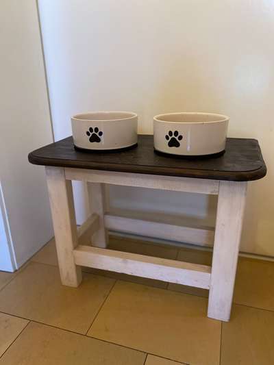 Windhunde - Treffen der besonderen Schönheiten
HERZLICH WILLKOMMEN-Beitrag-Bild