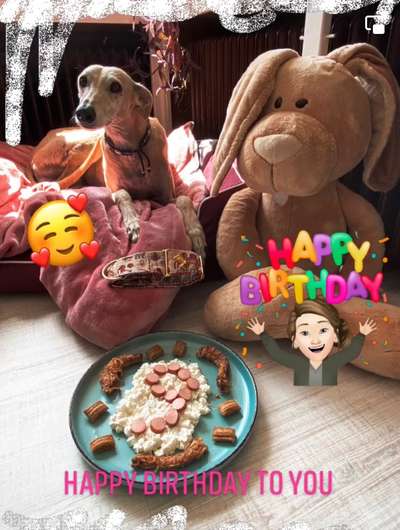 Windhunde - Treffen der besonderen Schönheiten
HERZLICH WILLKOMMEN-Beitrag-Bild