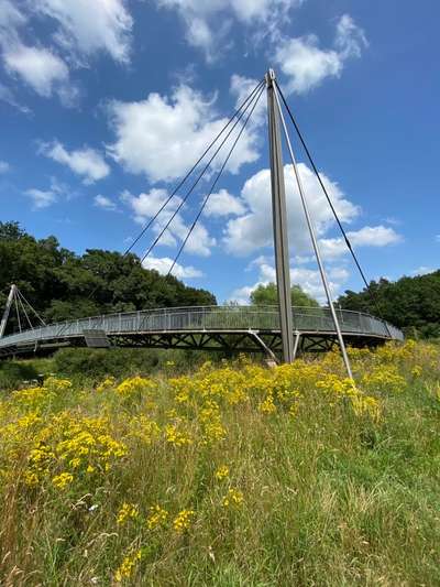 Windhunde - Treffen der besonderen Schönheiten
HERZLICH WILLKOMMEN-Beitrag-Bild