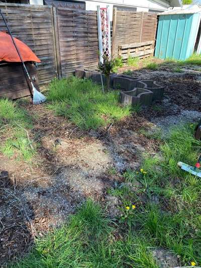 Windhunde - Treffen der besonderen Schönheiten
HERZLICH WILLKOMMEN-Beitrag-Bild