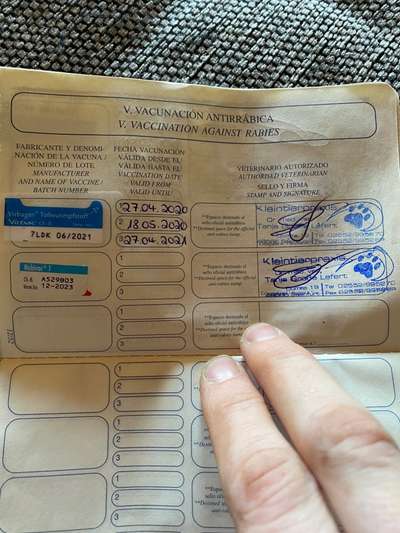 Windhunde - Treffen der besonderen Schönheiten
HERZLICH WILLKOMMEN-Beitrag-Bild