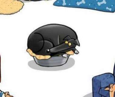 Windhunde - Treffen der besonderen Schönheiten
HERZLICH WILLKOMMEN-Beitrag-Bild