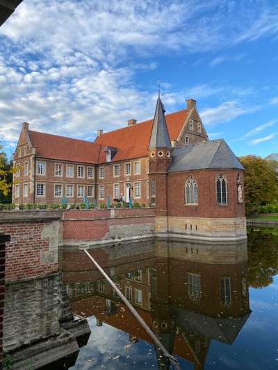 Windhunde - Treffen der besonderen Schönheiten
HERZLICH WILLKOMMEN-Beitrag-Bild