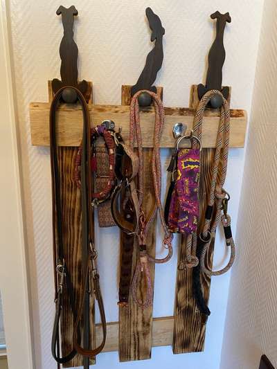 Windhunde - Treffen der besonderen Schönheiten
HERZLICH WILLKOMMEN-Beitrag-Bild