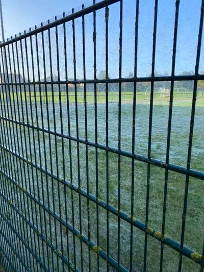 Windhunde - Treffen der besonderen Schönheiten
HERZLICH WILLKOMMEN-Beitrag-Bild