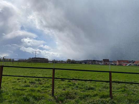 Windhunde - Treffen der besonderen Schönheiten
HERZLICH WILLKOMMEN-Beitrag-Bild