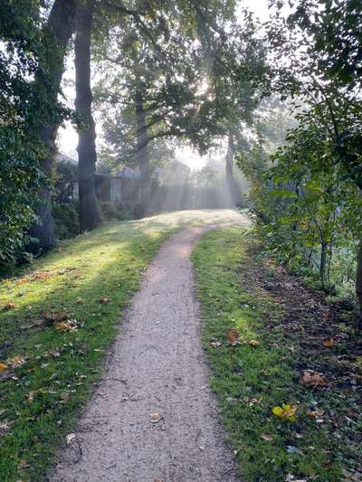 Windhunde - Treffen der besonderen Schönheiten
HERZLICH WILLKOMMEN-Beitrag-Bild