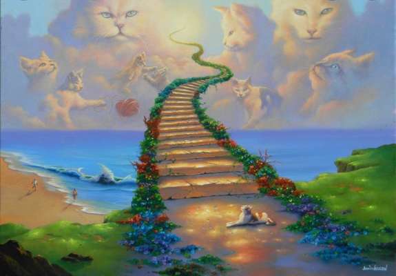 Windhunde - Treffen der besonderen Schönheiten
HERZLICH WILLKOMMEN-Beitrag-Bild