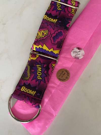 Windhunde - Treffen der besonderen Schönheiten
HERZLICH WILLKOMMEN-Beitrag-Bild